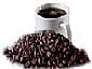 Arabica coffee bean